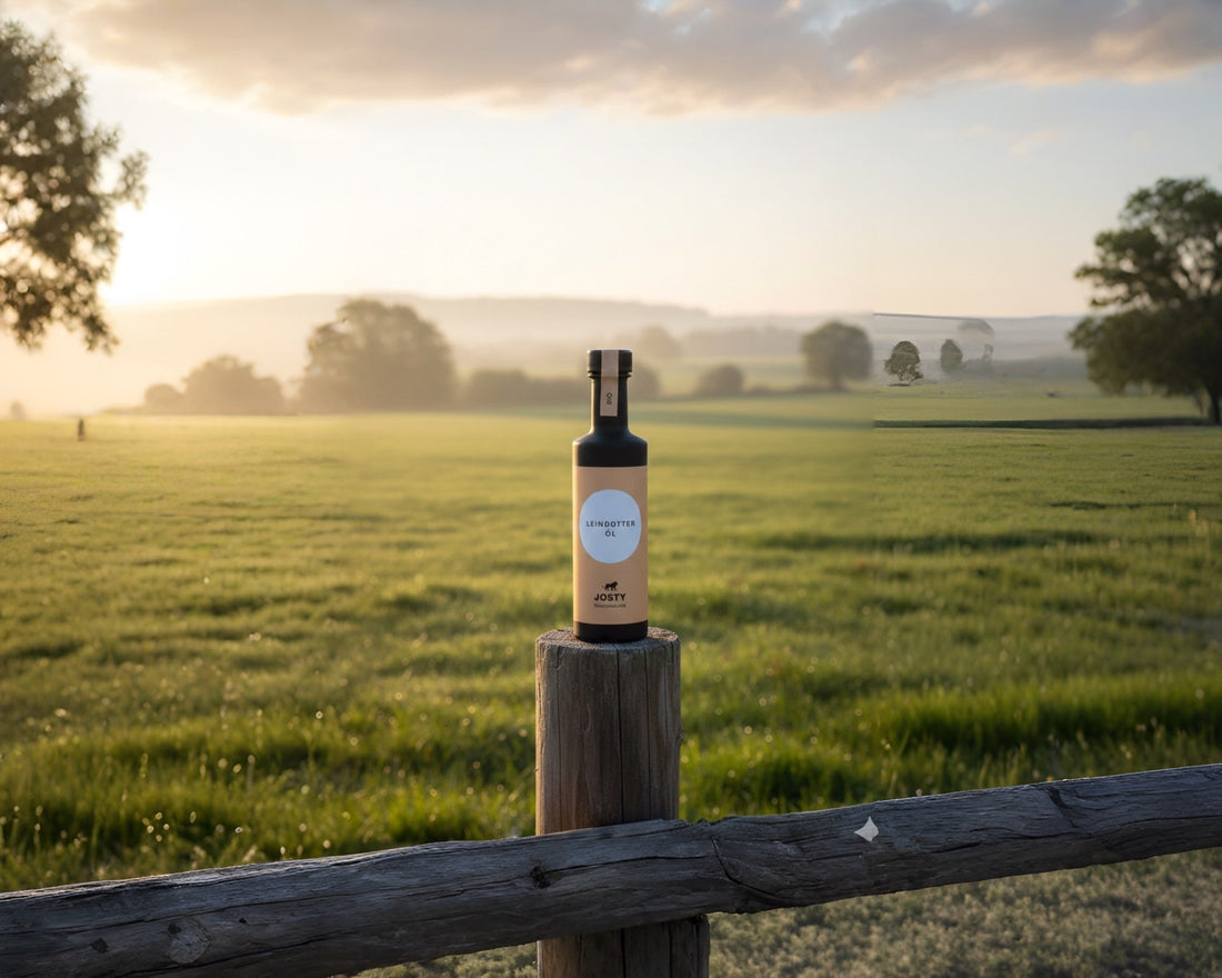 Kaltgepresstes Öl in Glasflasche – naturbelassen und nährstoffreich